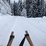 Vordersattlegghofhuette * Huttau