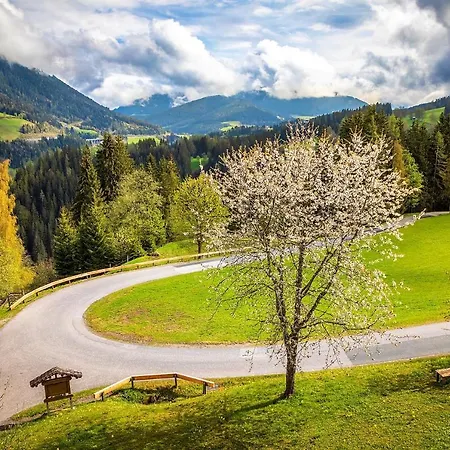 Gospodarstwo agroturystyczne Vordersattlegghofhuette