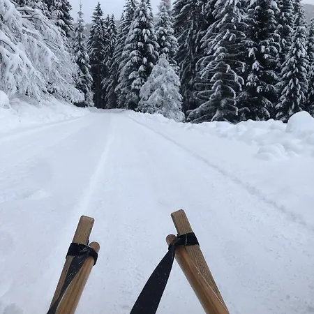 Vordersattlegghofhuette * Hüttau