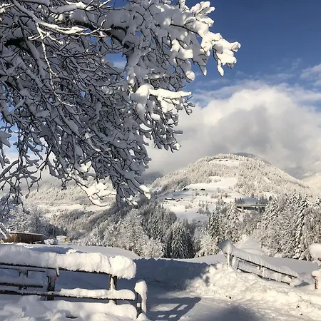Vordersattlegghofhütte Bauernhof