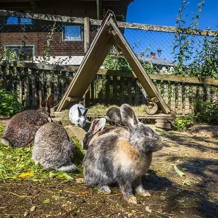 Vordersattlegghofhuette Gospodarstwo agroturystyczne Hüttau