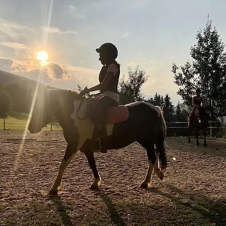 Vordersattlegghofhütte Hüttau