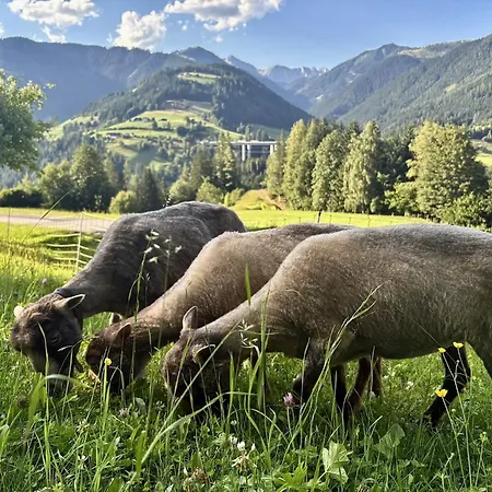 Bauernhof Vordersattlegghofhütte