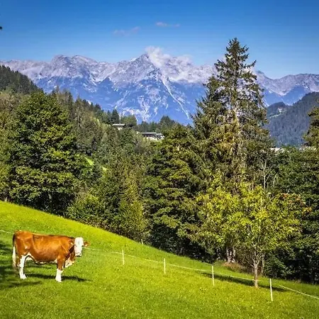 Bauernhof Vordersattlegghofhütte Hüttau