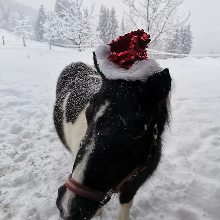 Vordersattlegghofhütte * Hüttau