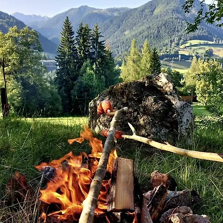 Vordersattlegghofhütte Bauernhof Hüttau