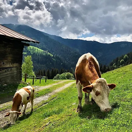 Bauernhof Vordersattlegghofhütte *