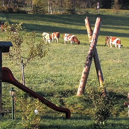 Vordersattlegghofhuette Hüttau