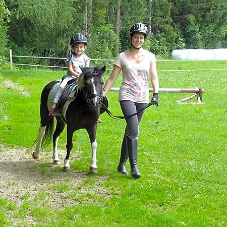 Vordersattlegghofhuette *